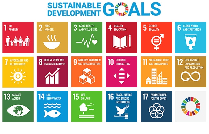 Sustainable Development Goals (SDGs) 