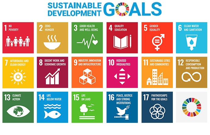 Sustainable Development Goals (SDGs)