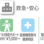 救急・安心：駆けつけ救急サポート（外出先）¥5000〜　医療機関案内　健康相談