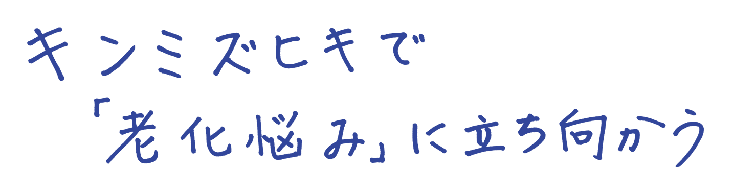 キンミズヒキで「老化悩み」に立ち向かう