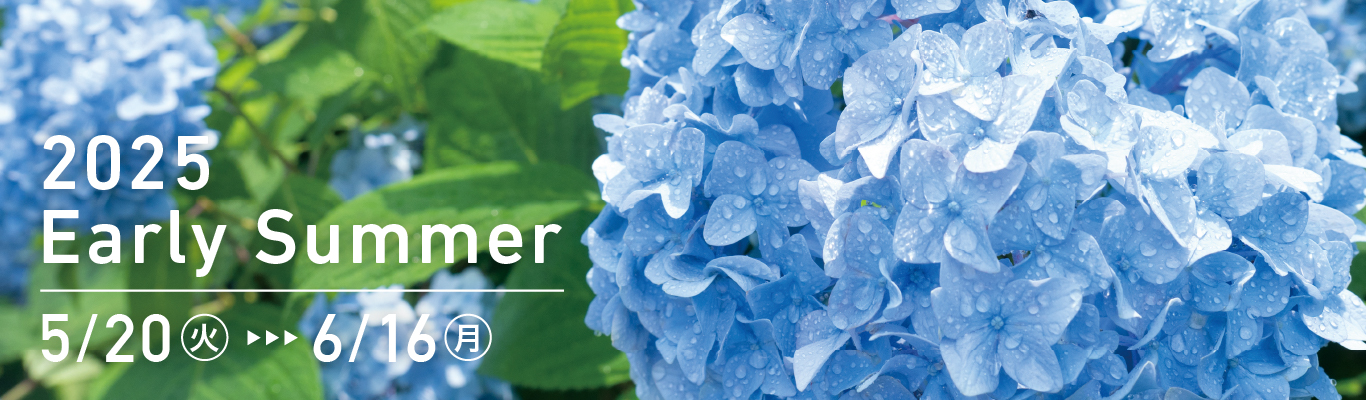 2025 Early Summer 5/20（火）〜6/16（月）