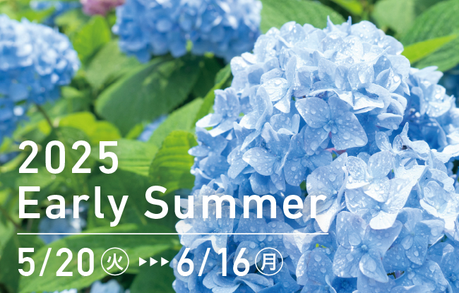 2025 Early Summer 5/20（火）〜6/16（月）