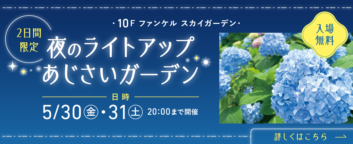 10F 夜のライトアップあじさいガーデン