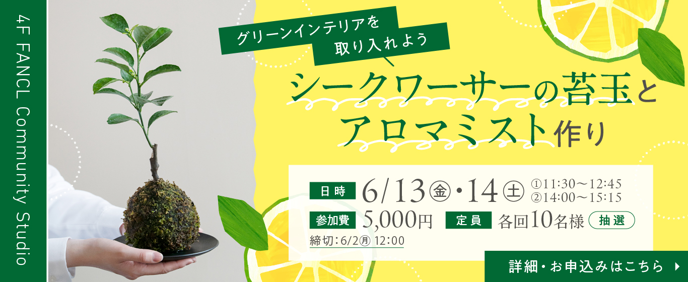 4F シークワーサーの苔玉とアロマミスト作り