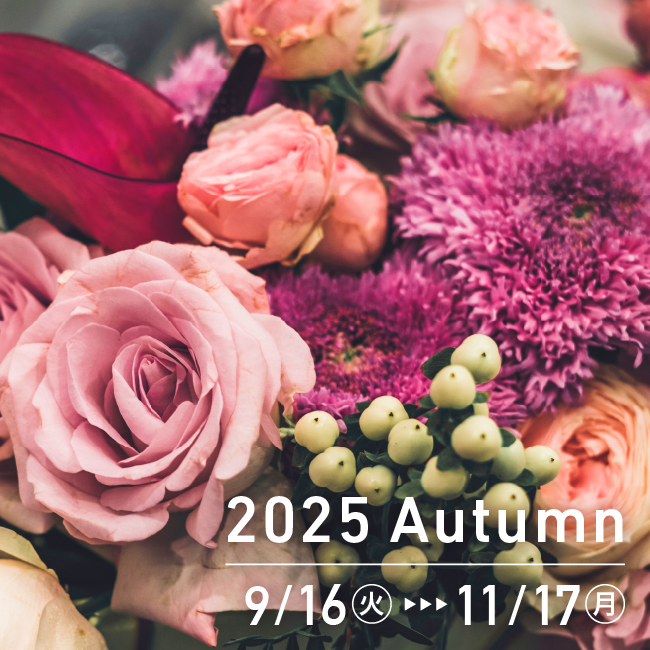 2025 Autumn