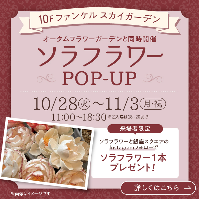 ソラフラワーPOP UP