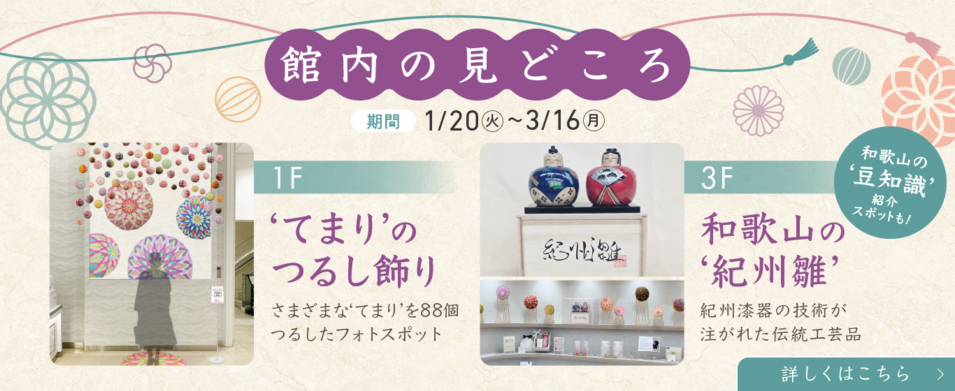 館内展示のみどころ