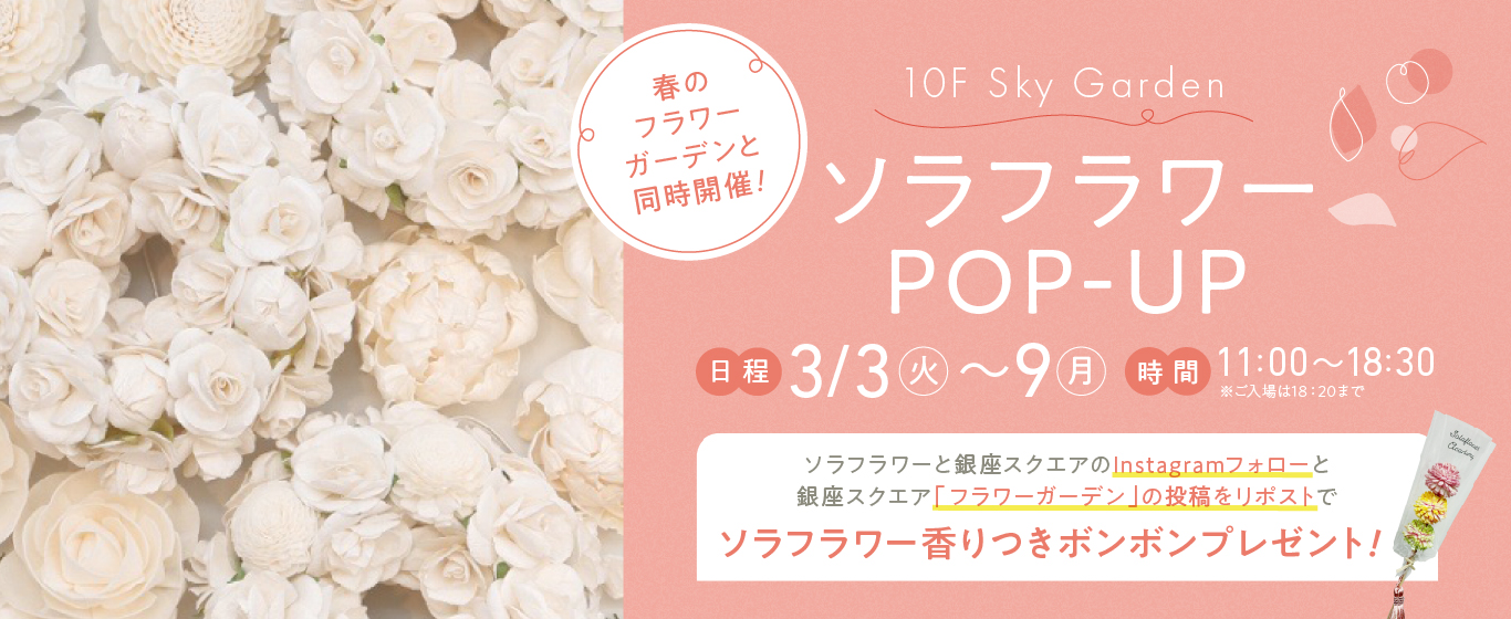 10F ソラフラワー POPUP