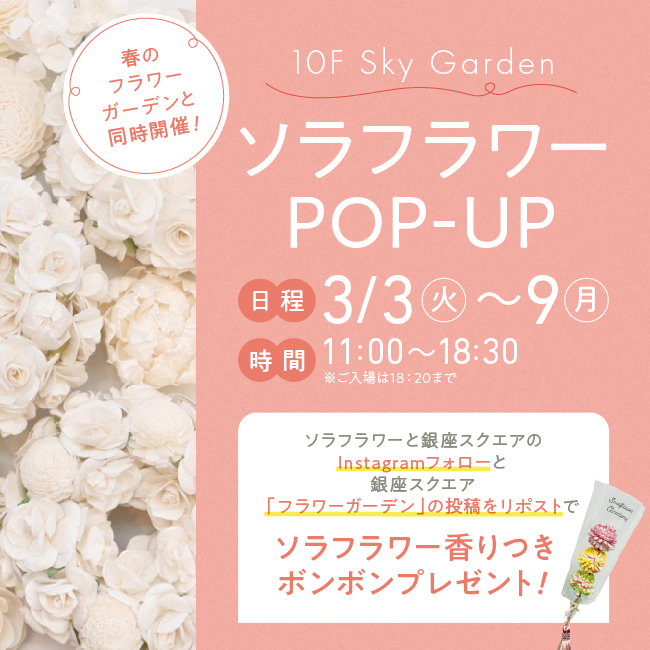 10F ソラフラワー POPUP