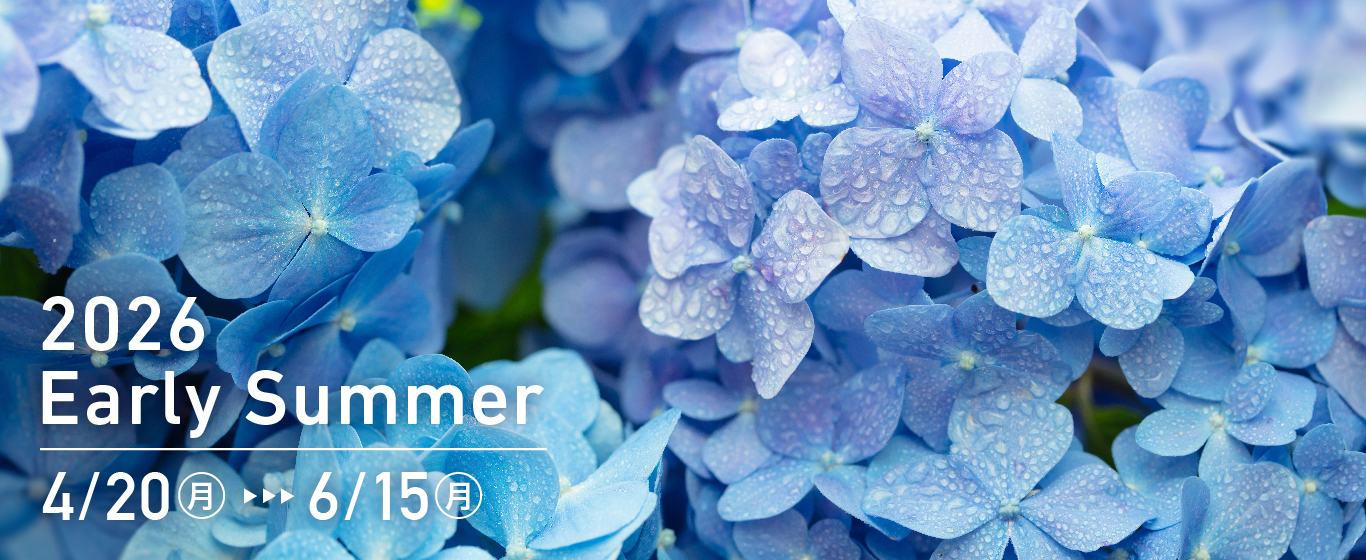 2026
Early Summer 4/20〜6/15