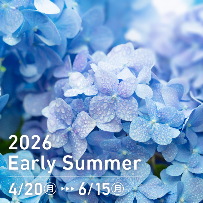 2026
Early Summer 4/20〜6/15