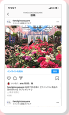 オータムローズガーデン ファンケル 銀座スクエア 店舗情報 Fancl ファンケル オータムローズガーデン ファンケル 銀座スクエア 店舗情報 Fancl ファンケル