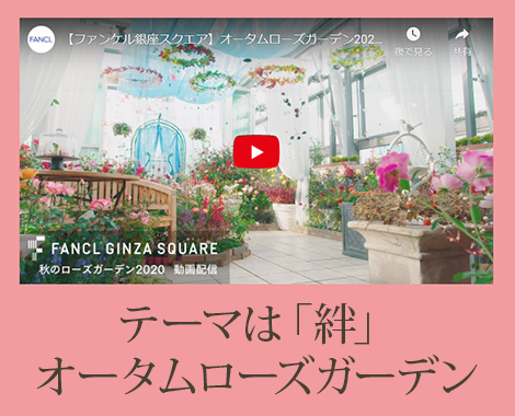 クリスマスガーデン ファンケル 銀座スクエア 店舗情報 Fancl ファンケル クリスマスガーデン ファンケル 銀座スクエア 店舗情報 Fancl ファンケル