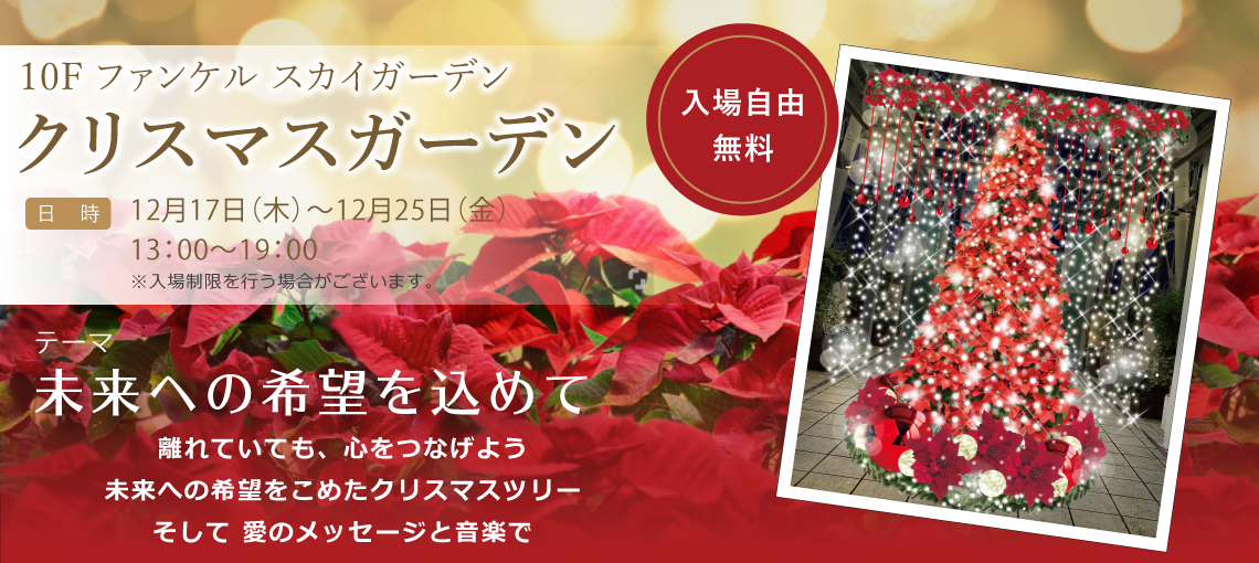 クリスマスガーデン ファンケル 銀座スクエア 店舗情報 Fancl ファンケル クリスマスガーデン ファンケル 銀座スクエア 店舗情報 Fancl ファンケル