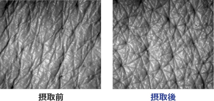 エストロゲン受容体に対するバラ科植物の影響