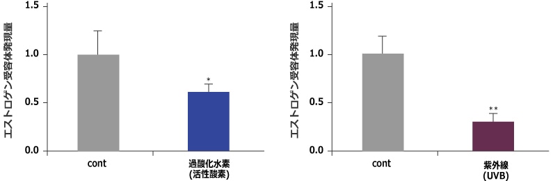 エストロゲン受容体への紫外線、活性酸素の影響