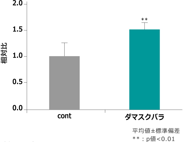 ダマスクバラエキスによるコラーゲン合成への作用