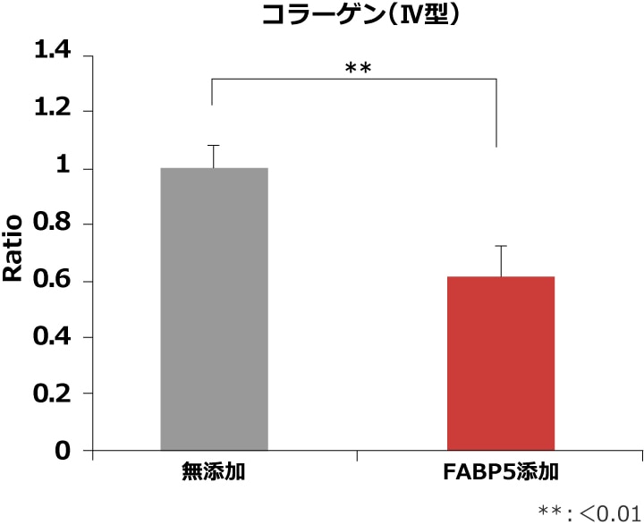 コラーゲン（Ⅳ型）