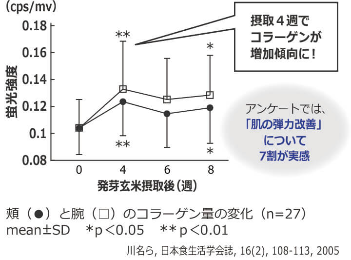 肌のコラーゲン量の変化