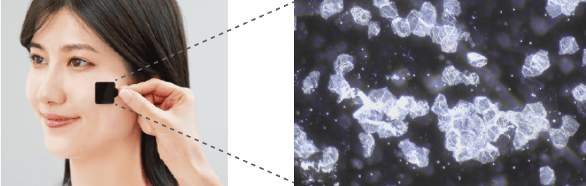 角層を採取し、撮影された角質の写真