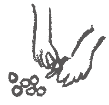 イラスト