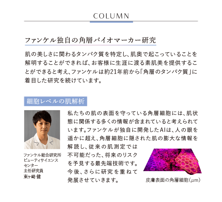 COLUMN ファンケル独自の角層バイオマーカー研究 肌の美しさに関わるタンパク質を特定し、肌奥で起こっていることを解明することができれば、お客様に生涯に渡る素肌美を提供することができると考え、ファンケルは約21年前から「角層のタンパク質」に着目した研究を続けています。 細胞レベルの肌解析 ファンケル総合研究所　ビューティサイエンスセンター　主任研究員　東ヶ崎 健 私たちの肌の表面を守っている角層細胞には、肌状態に関係する多くの情報が含まれていると考えられています。ファンケルが独自に開発したAIは、人の眼を遥かに超え、角層細胞に隠された肌の膨大な情報を解読し、従来の肌測定では不可能だった、将来のリスクを予見する最先端技術です。今後、さらに研究を重ねて発展させていきます。 皮膚表面の角層細胞（μm）