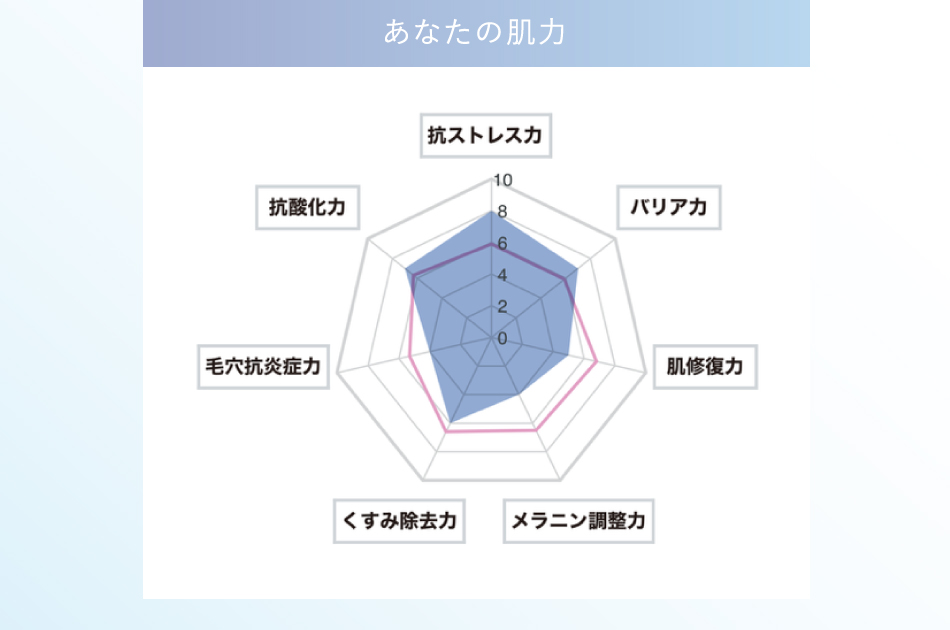 あなたの肌力 抗ストレス力／バリア力／肌修復力／メラニン調整力／くすみ除去力／毛穴抗炎症力／抗酸化力