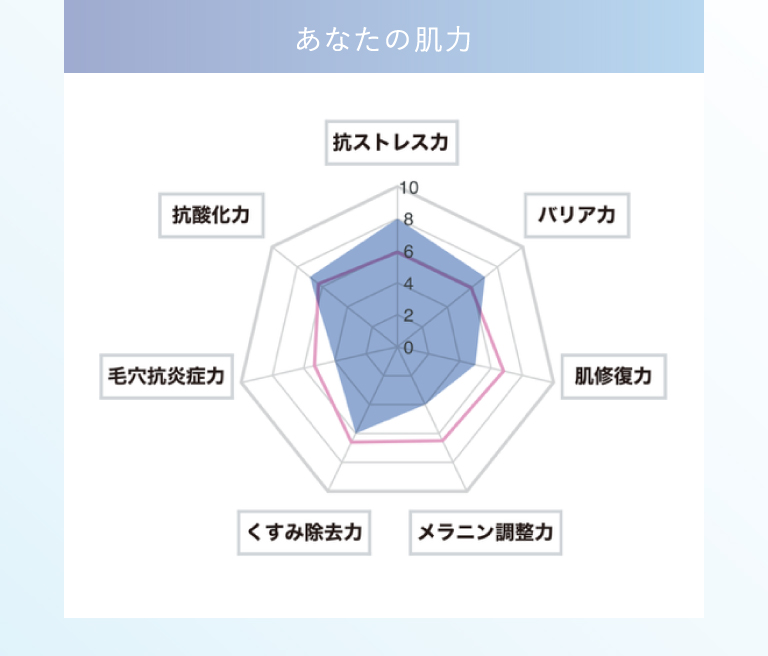 あなたの肌力 抗ストレス力／バリア力／肌修復力／メラニン調整力／くすみ除去力／毛穴抗炎症力／抗酸化力