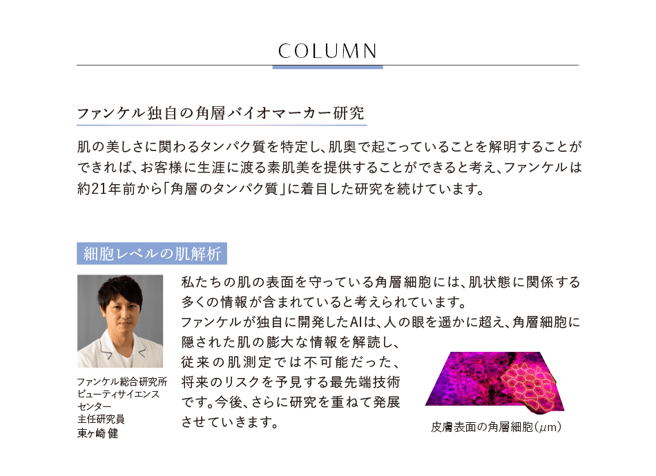 COLUMN ファンケル独自の角層バイオマーカー研究 肌の美しさに関わるタンパク質を特定し、肌奥で起こっていることを解明することができれば、お客様に生涯に渡る素肌美を提供することができると考え、ファンケルは約21年前から「角層のタンパク質」に着目した研究を続けています。 細胞レベルの肌解析 ファンケル総合研究所　ビューティサイエンスセンター　主任研究員　東ヶ崎 健 私たちの肌の表面を守っている角層細胞には、肌状態に関係する多くの情報が含まれていると考えられています。ファンケルが独自に開発したAIは、人の眼を遥かに超え、角層細胞に隠された肌の膨大な情報を解読し、従来の肌測定では不可能だった、将来のリスクを予見する最先端技術です。今後、さらに研究を重ねて発展させていきます。 皮膚表面の角層細胞（μm）