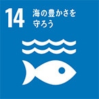 13.海の豊かさを守ろう